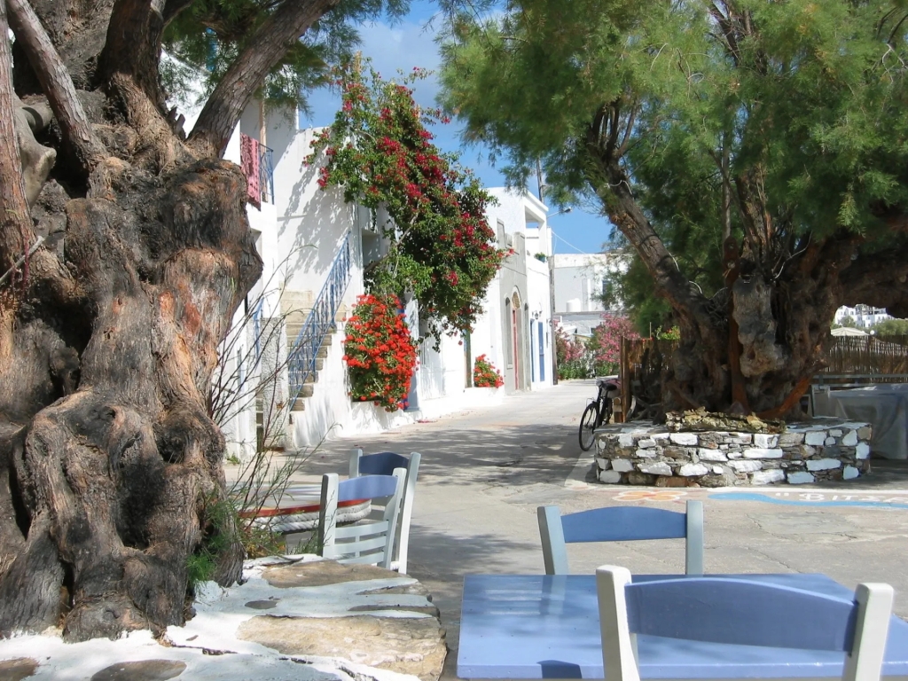 Katapola