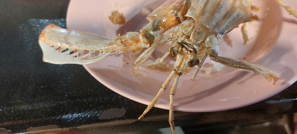 Lecker war es