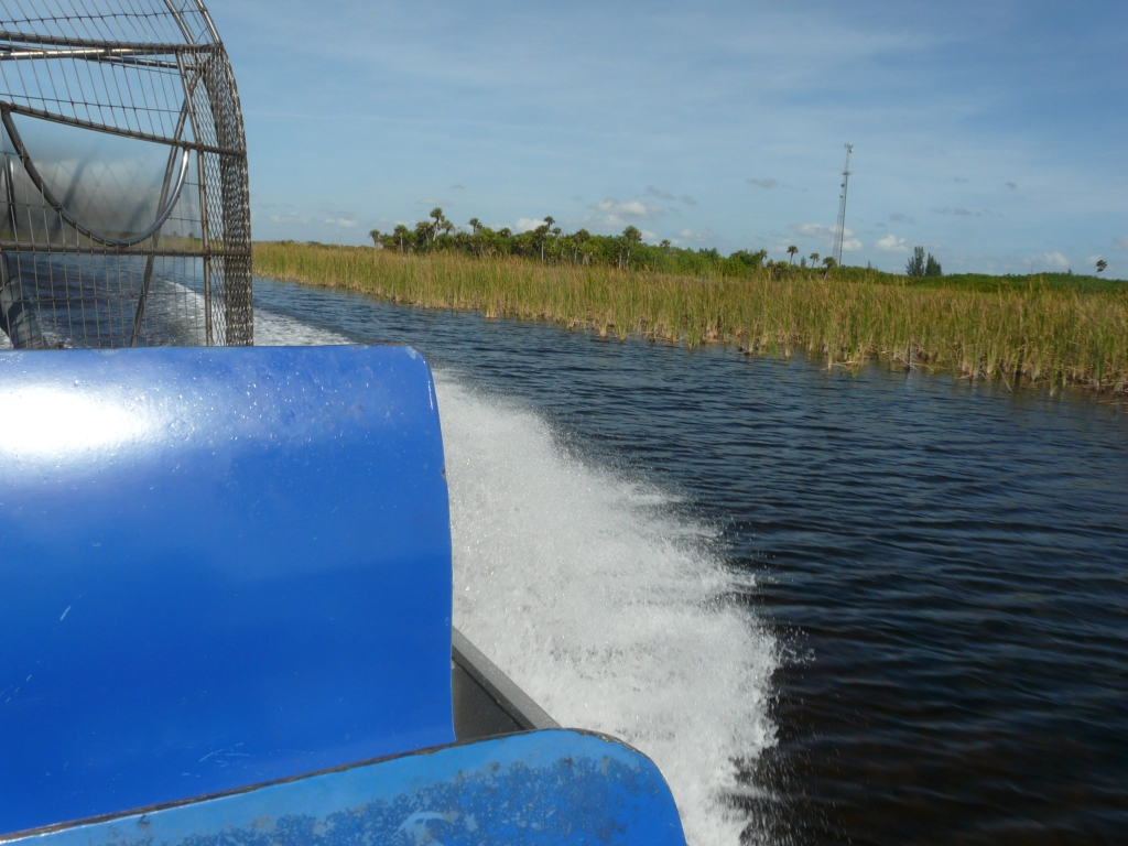 Everglades