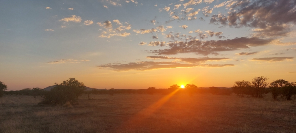 Sundowner