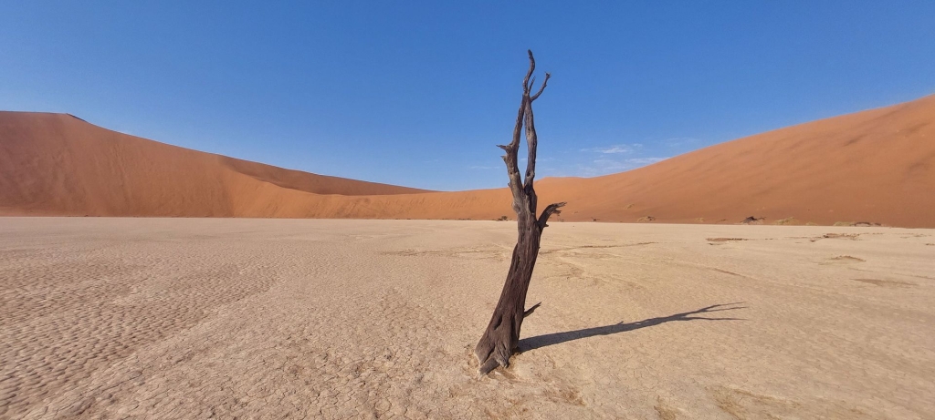 Deadvlei