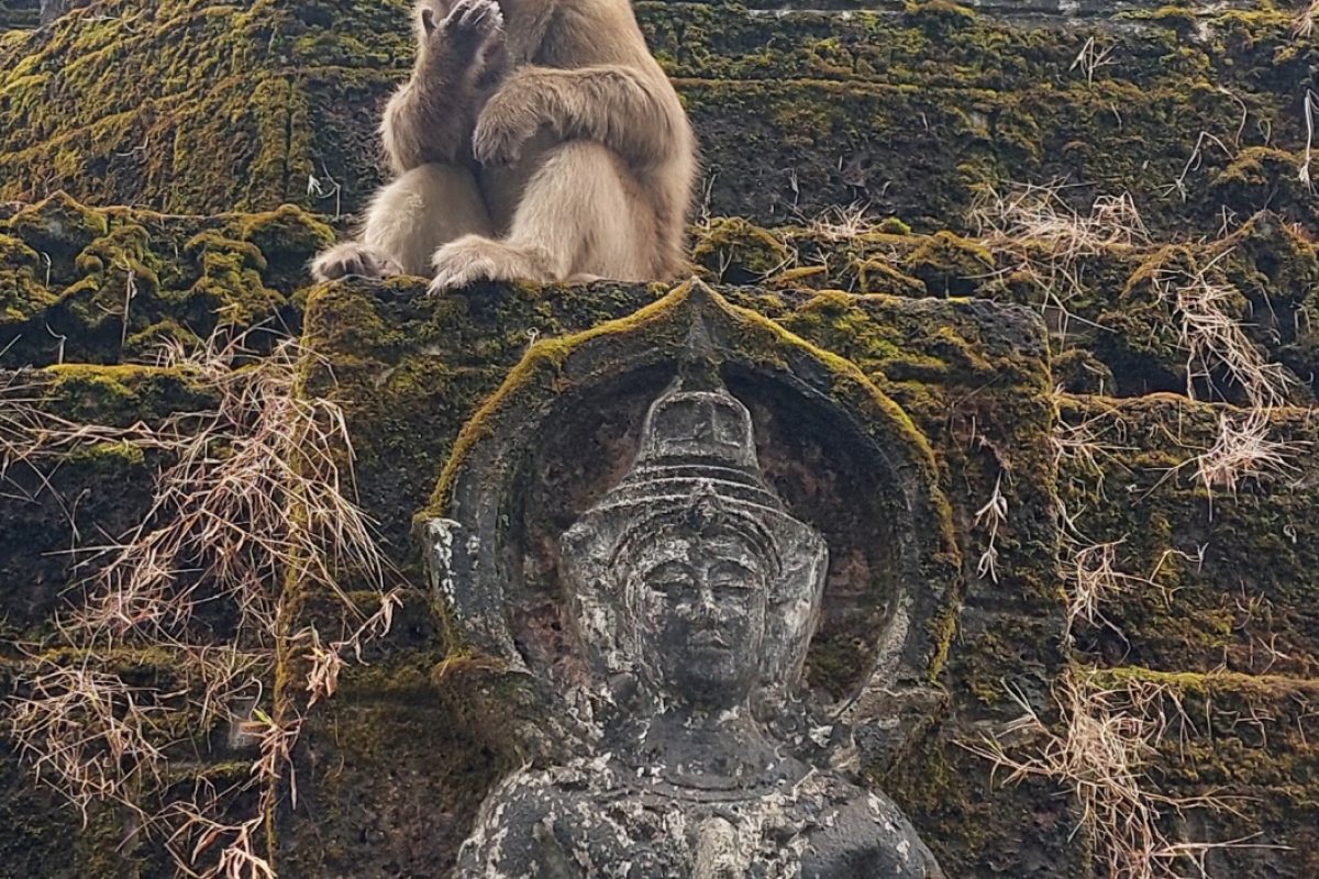 Wat Tham Pla