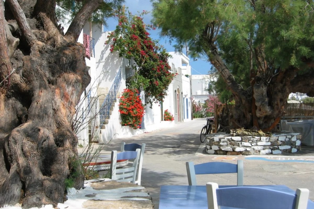 Katapola