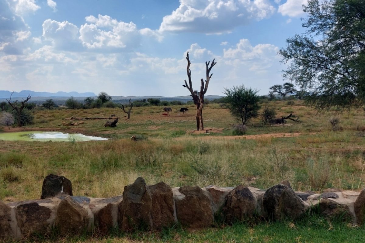 Auas Safari Lodge