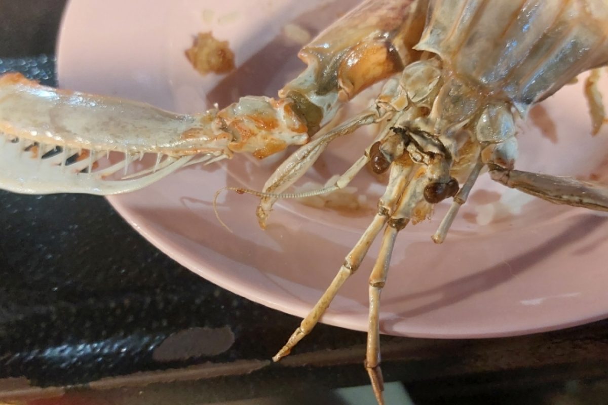 Lecker war es