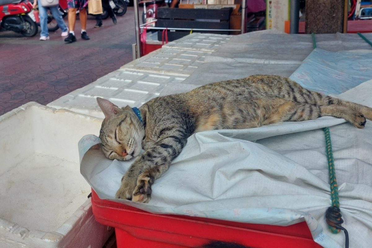 Streetfood :-)