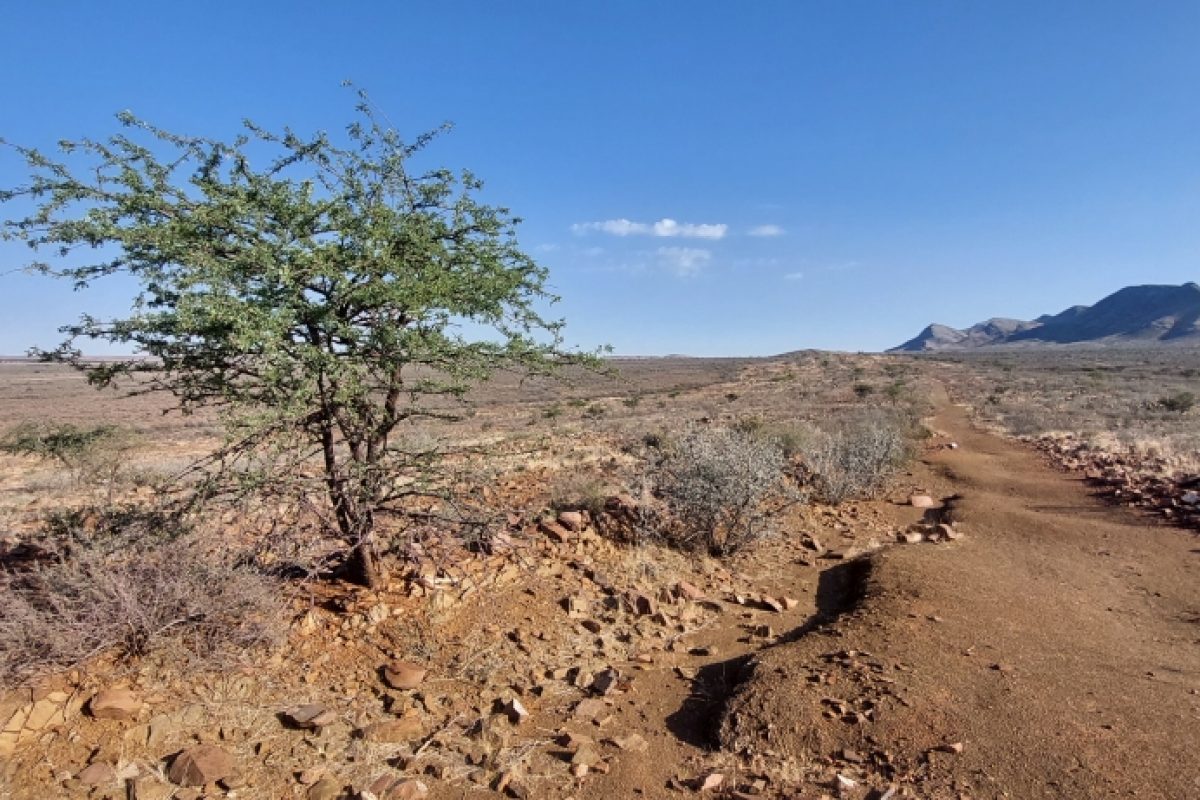 Wandern auf Büllsport