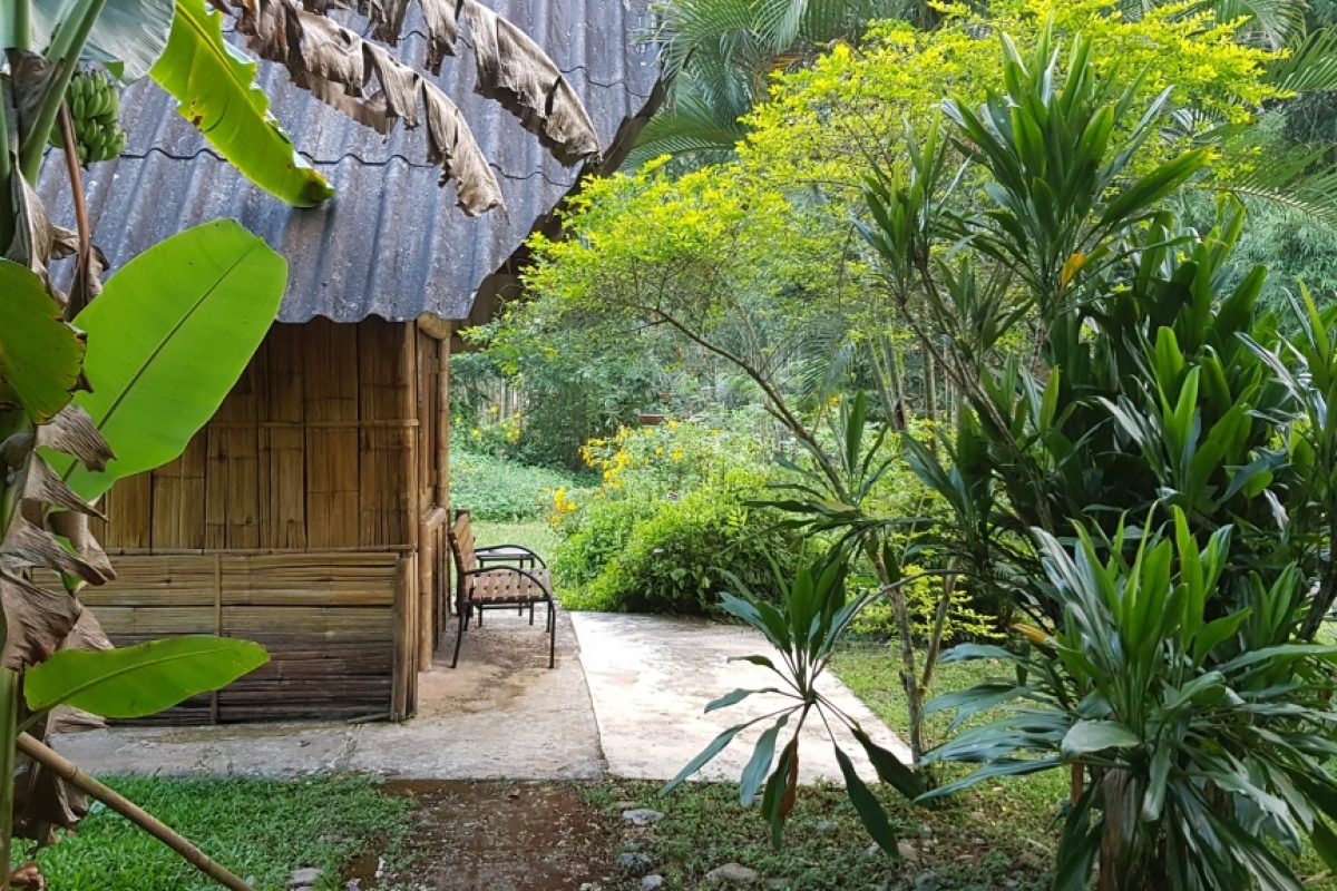 Chiang Dao