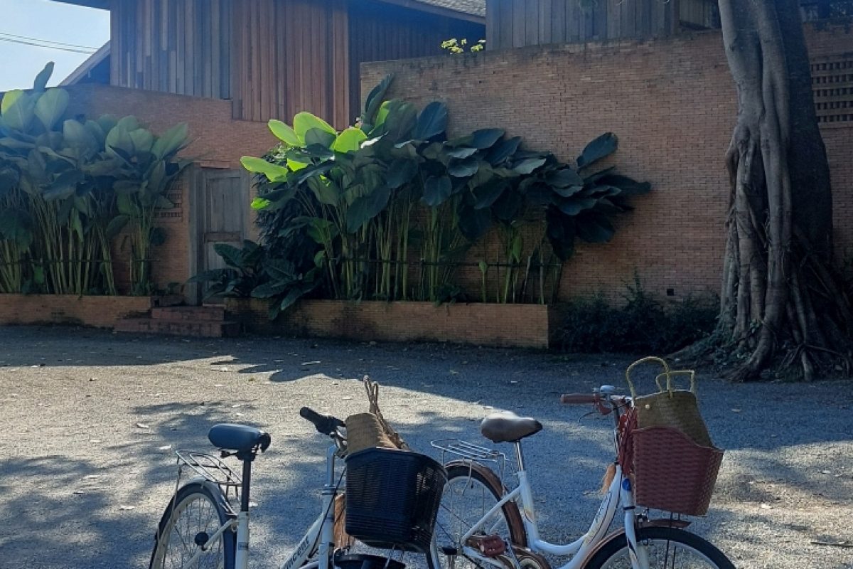 Athita - die Bikes