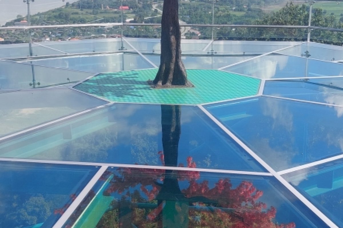 Mekong Skywalk