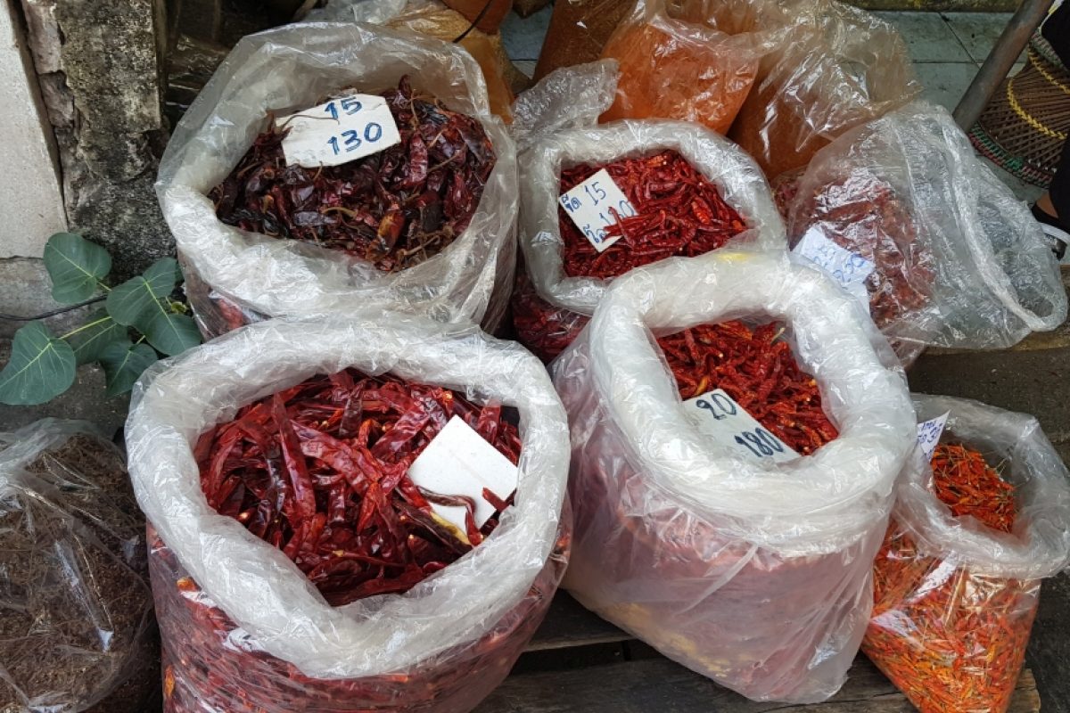 ChiangMai_20181203_094626_1024