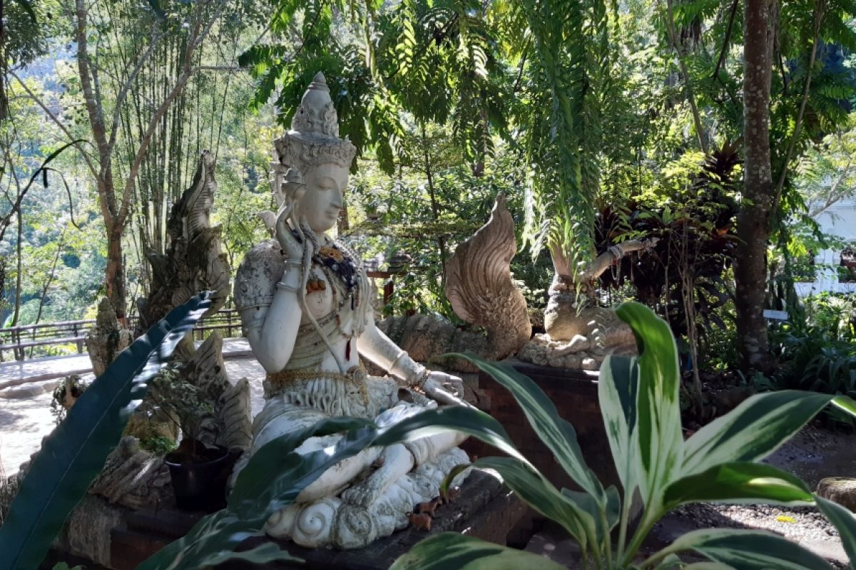 ChiangMai_20191209_103751_1024