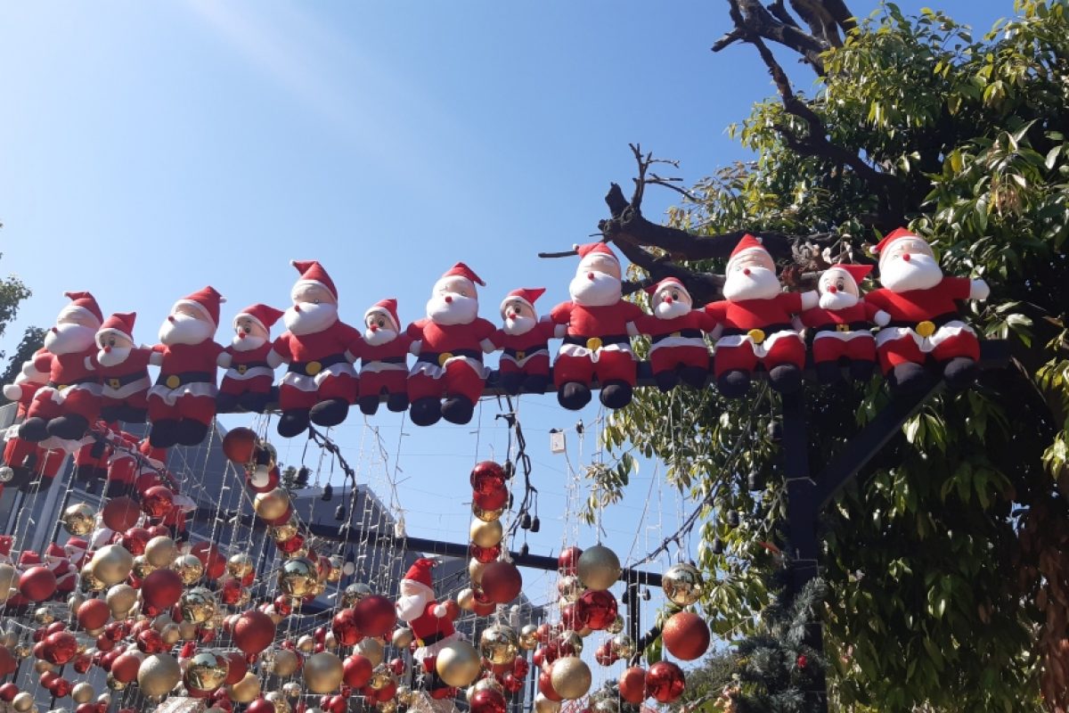 ChiangMai_20191218_105105_1024
