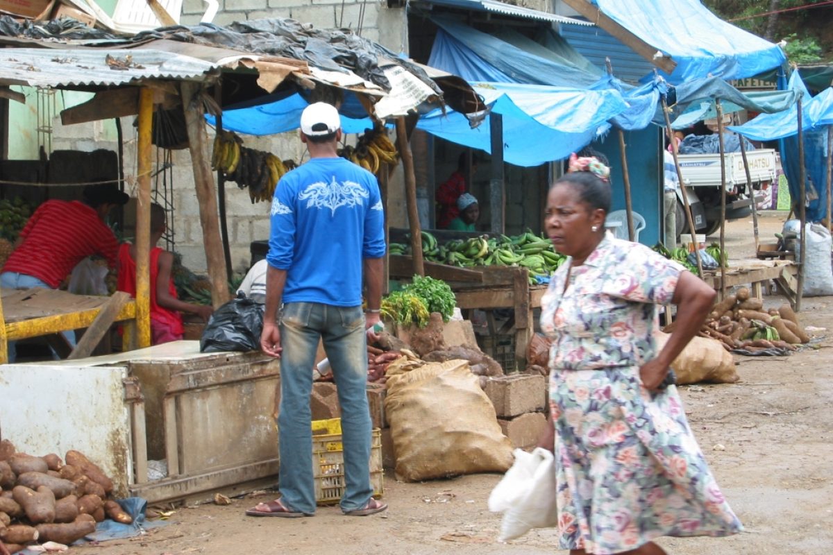 DomRep