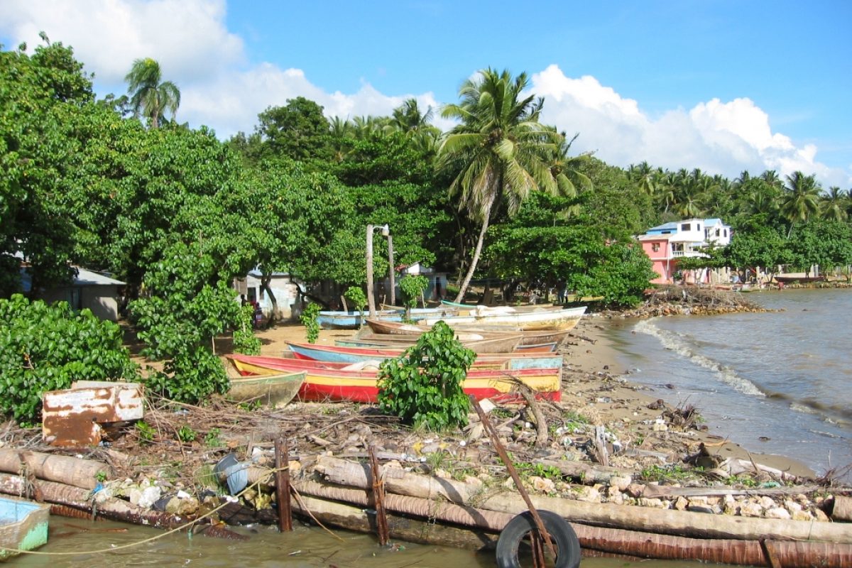 DomRep