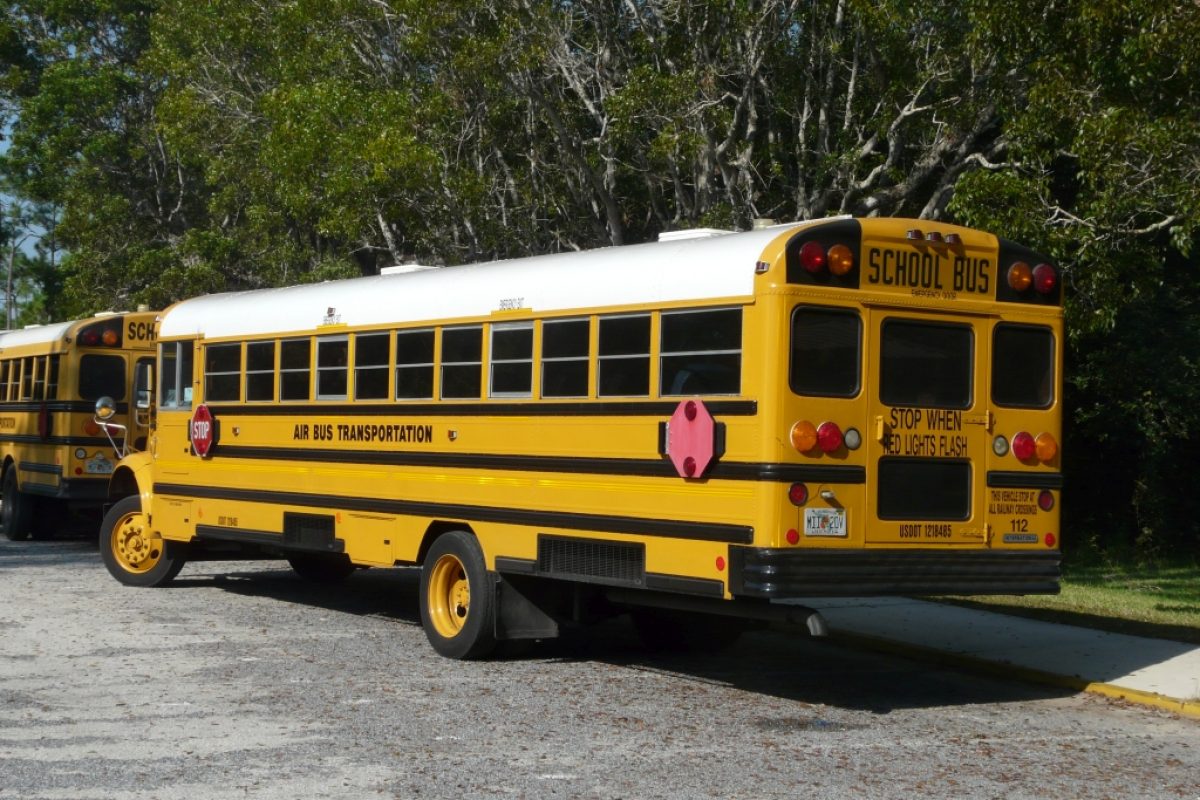 Schulbus