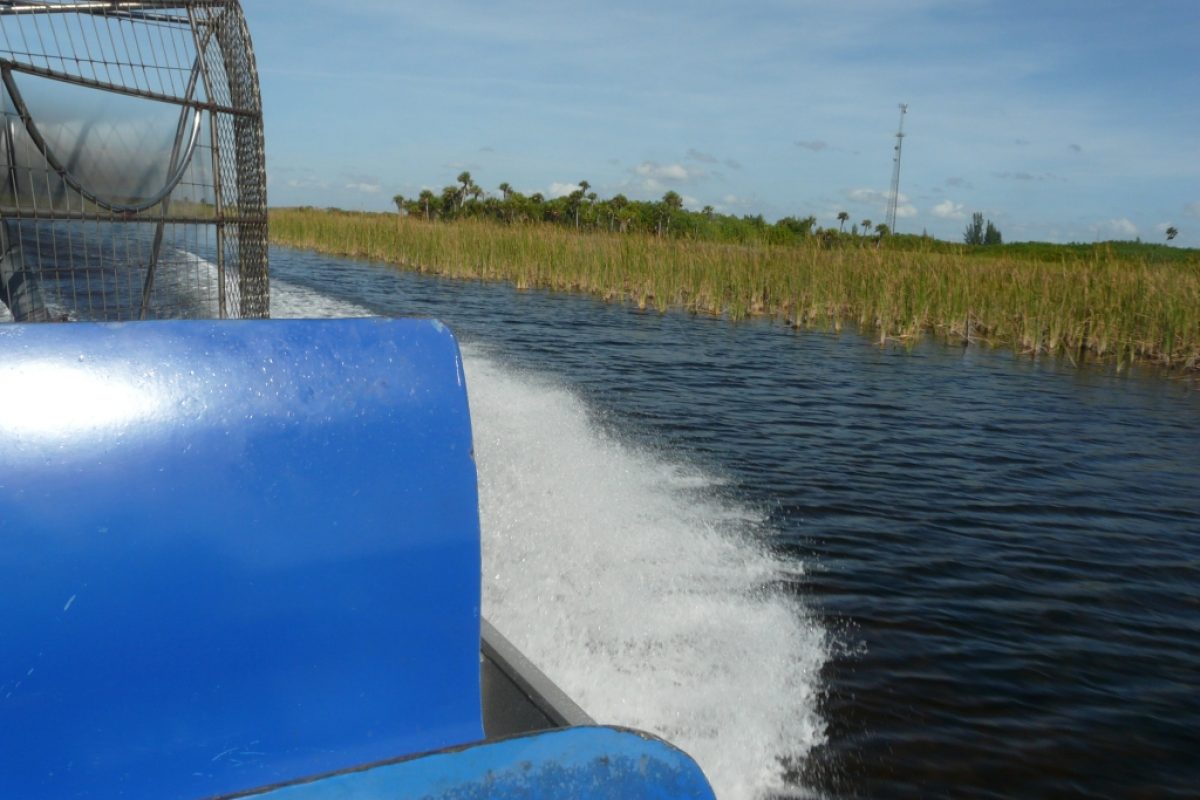 Everglades
