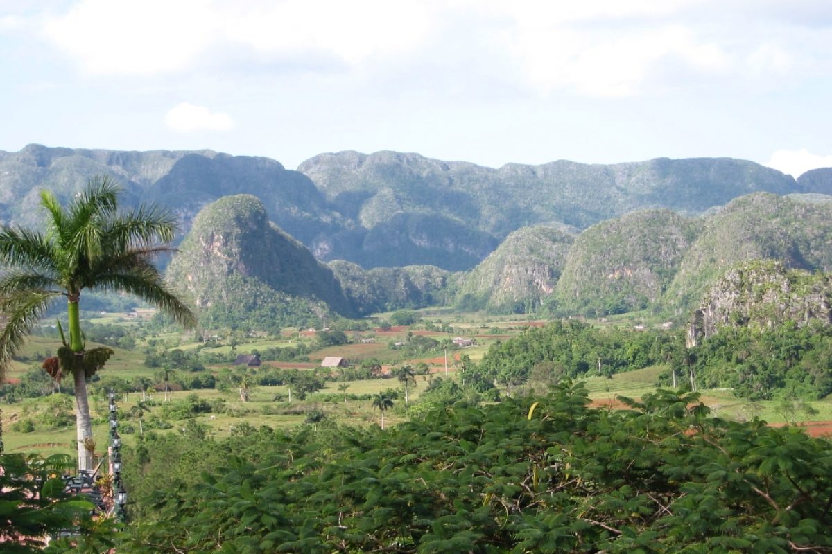 Vinales