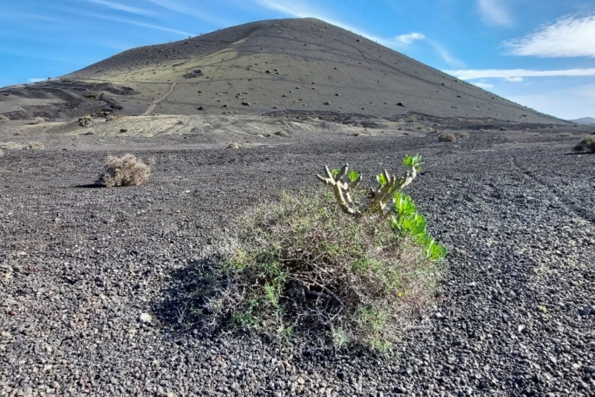 Lanzarote