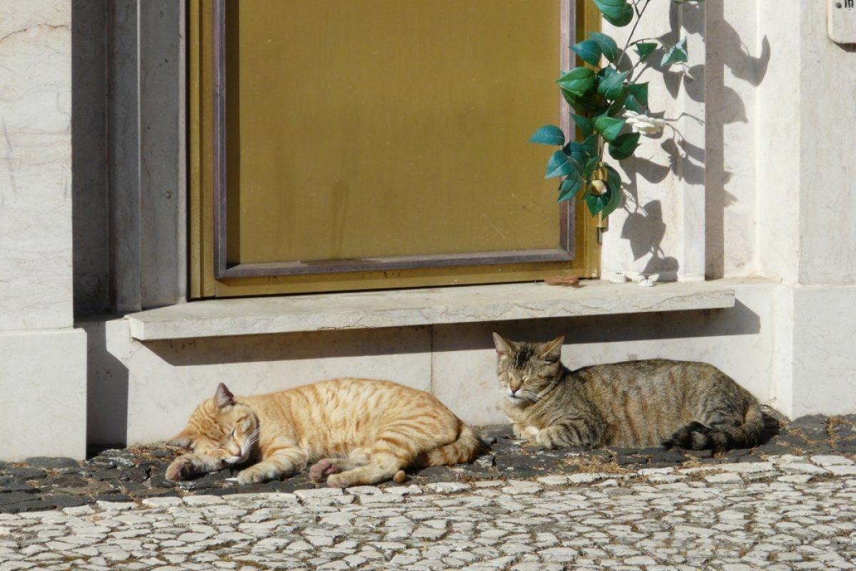 Lissabon