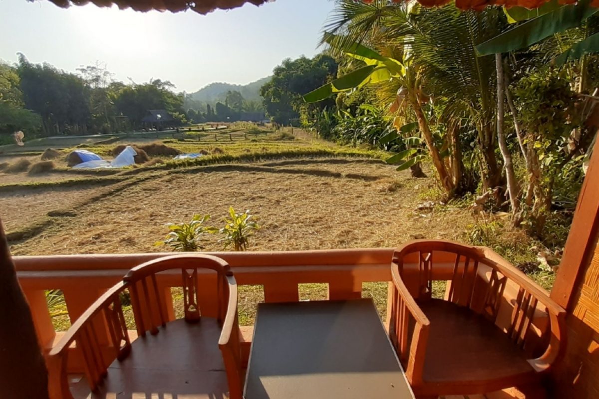 Fern Resort