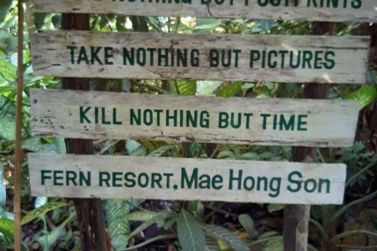 Fern Resort