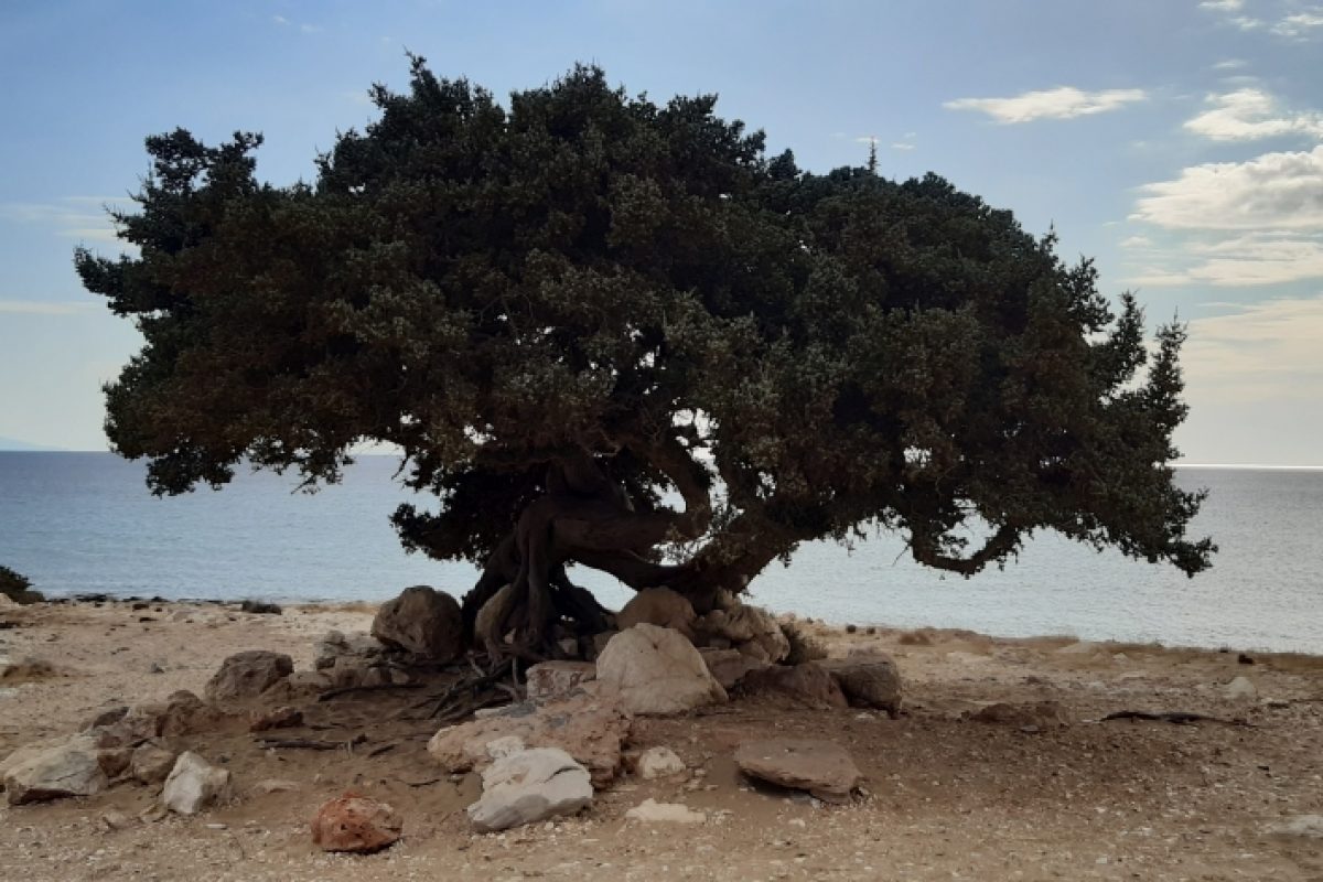 Naxos Strand
