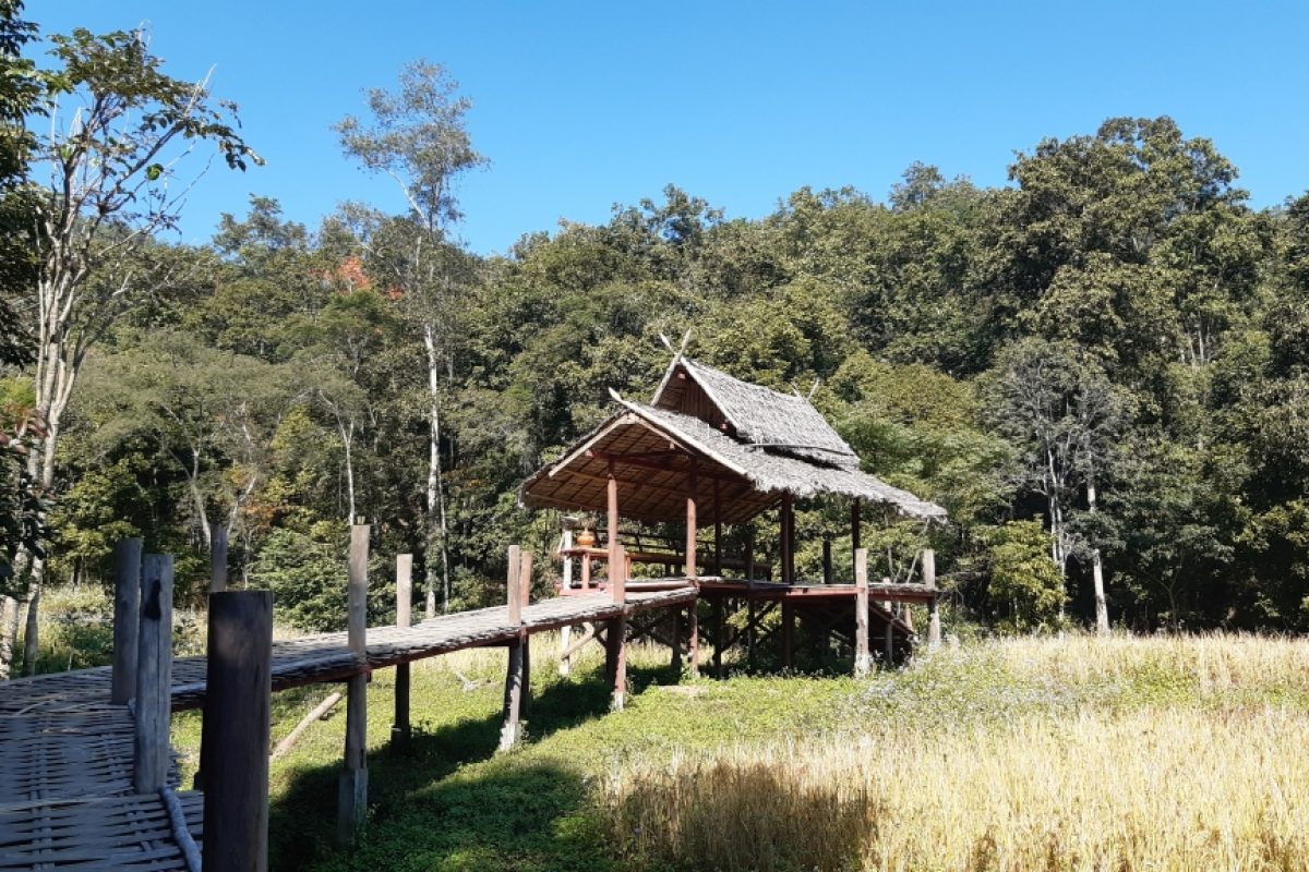 Bamboo Bridge