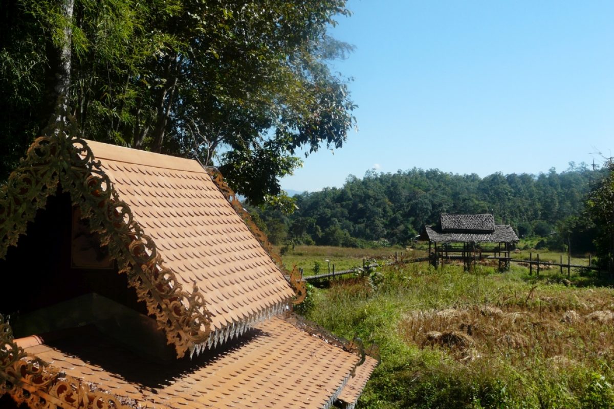 Reisfelder bei der Bamboo Bridge