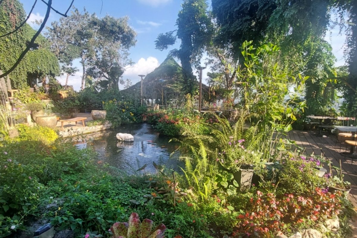 Phu Chaisai