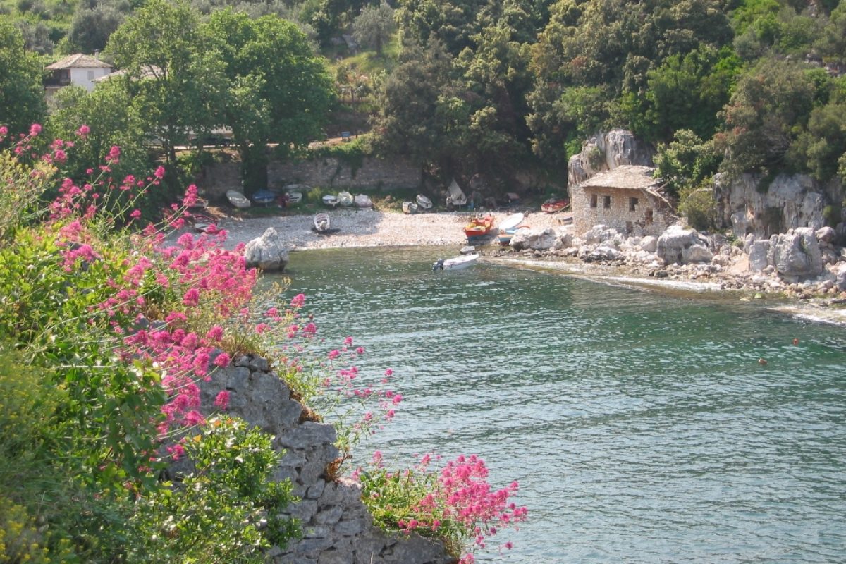 Damouchari
