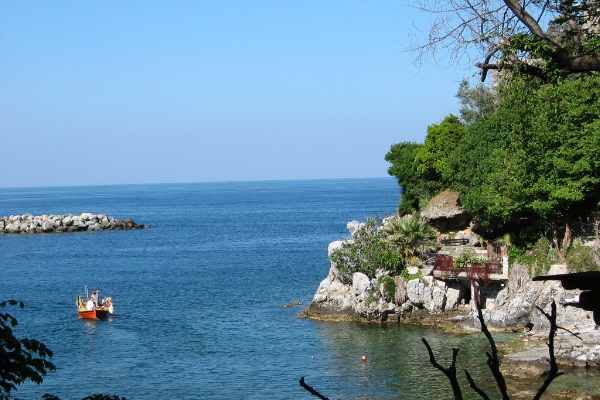 Damouchari