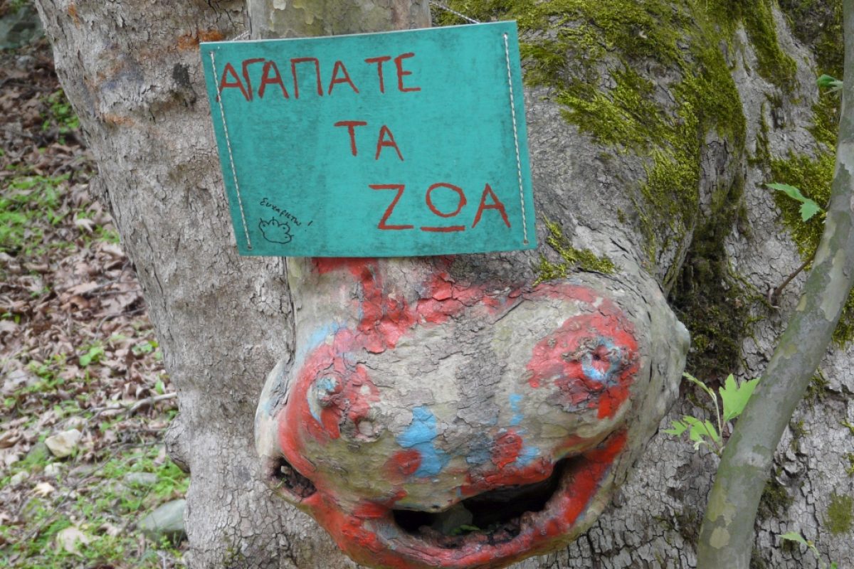 Samothraki