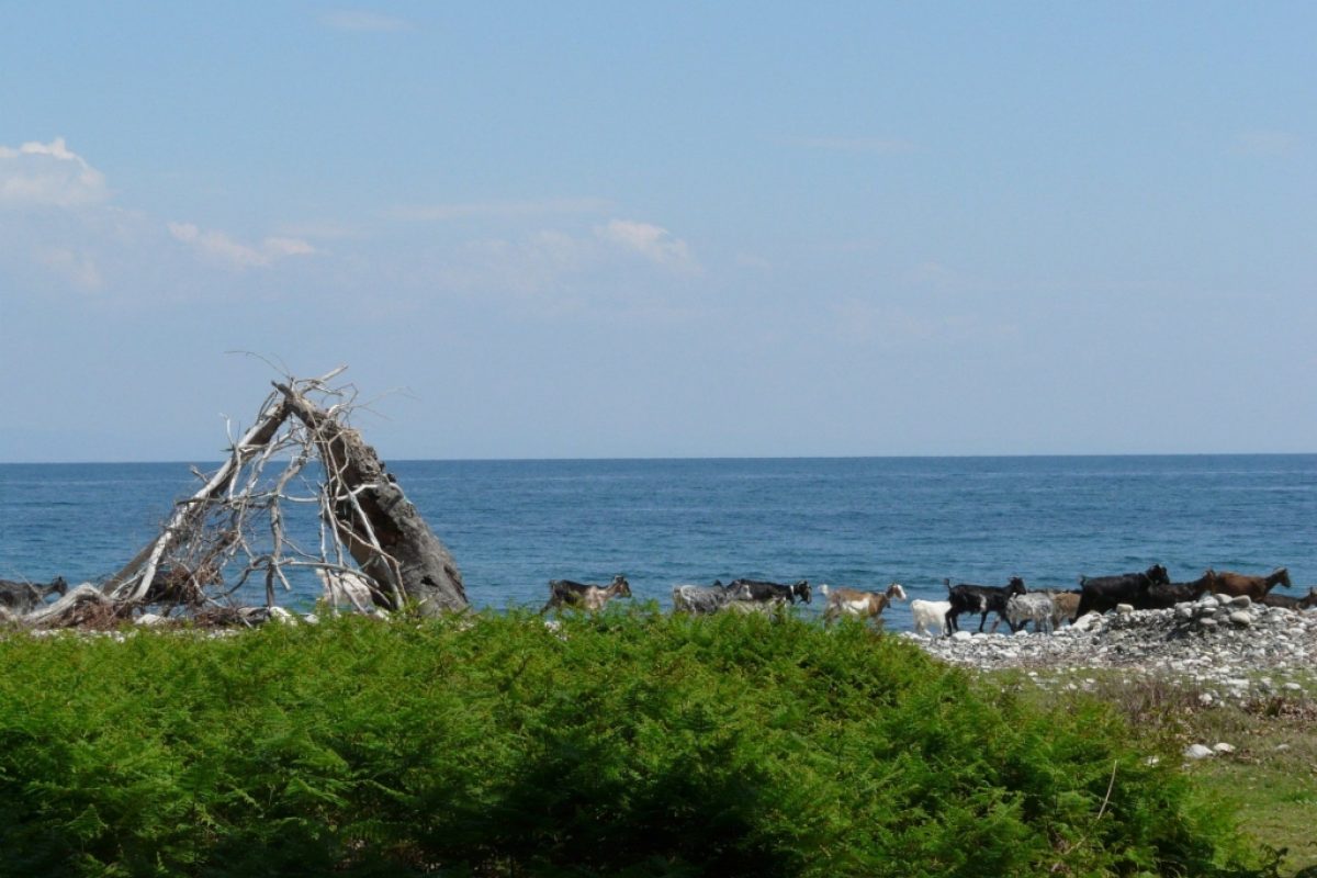 Samothraki
