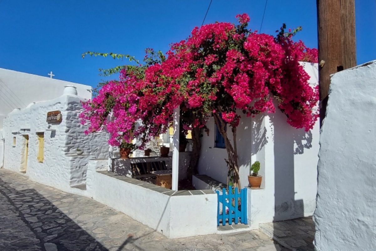 Apollonia