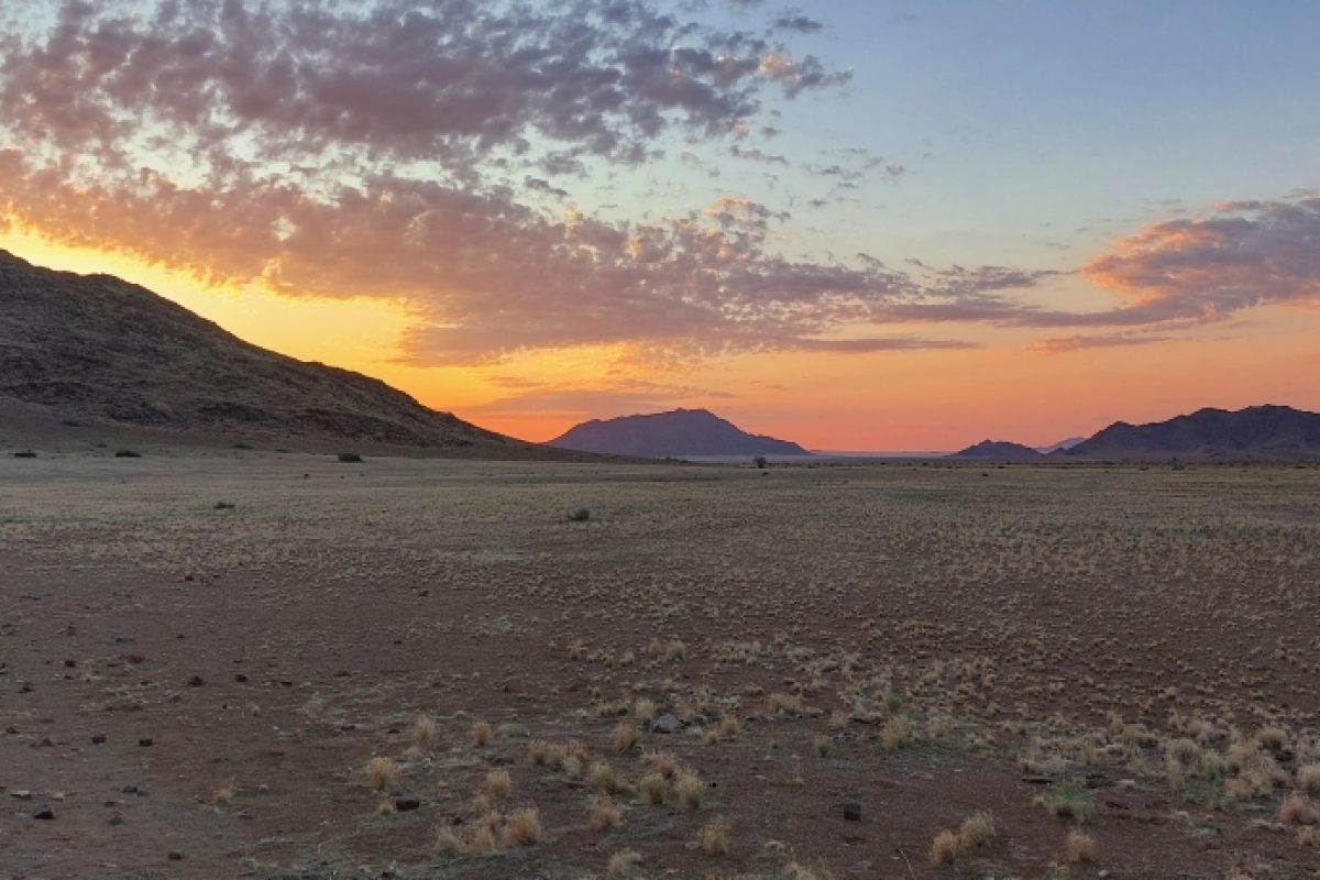 Desert Homestead