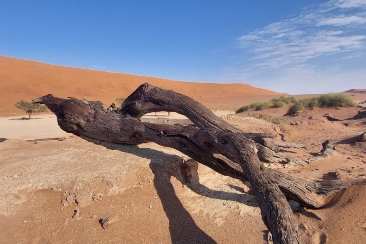 Deadvlei