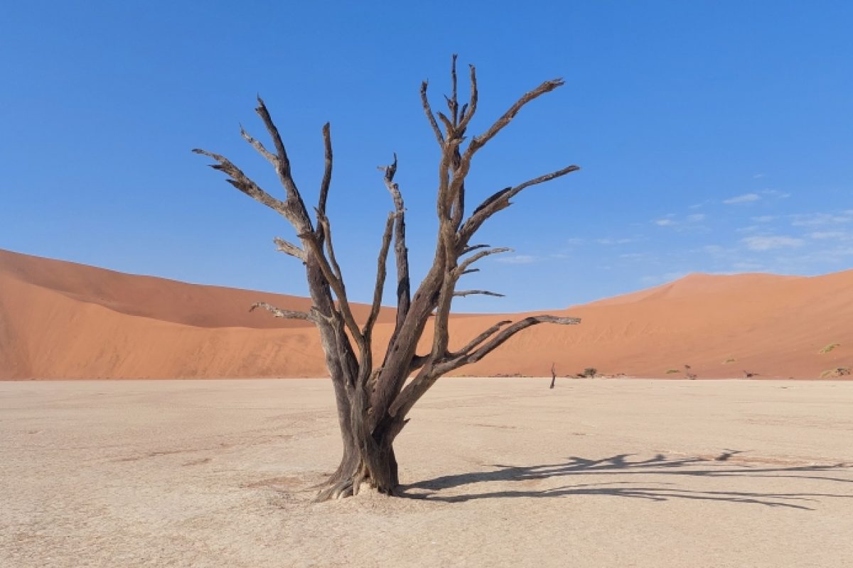 Deadvlei