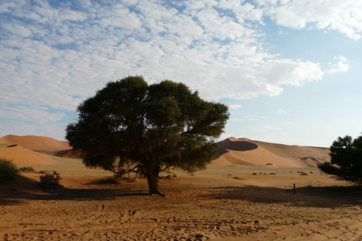 Sossusvlei