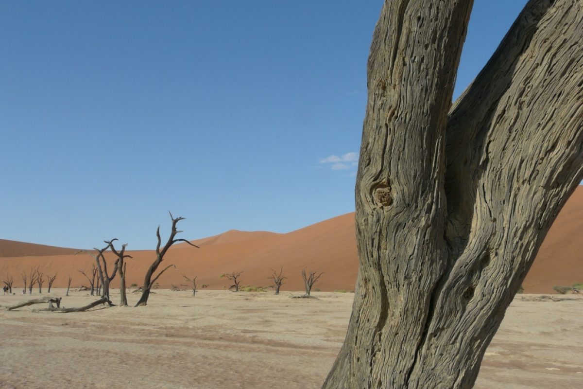 Deadvlei