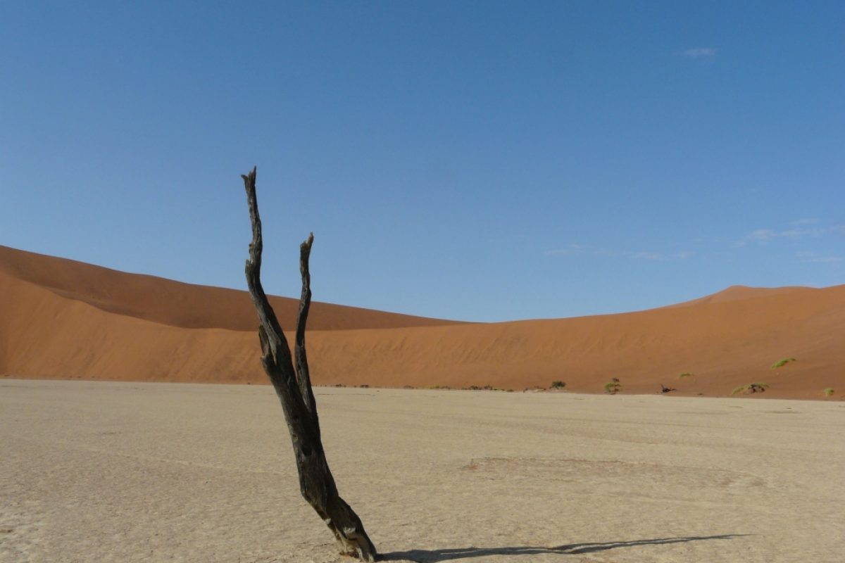 Deadvlei
