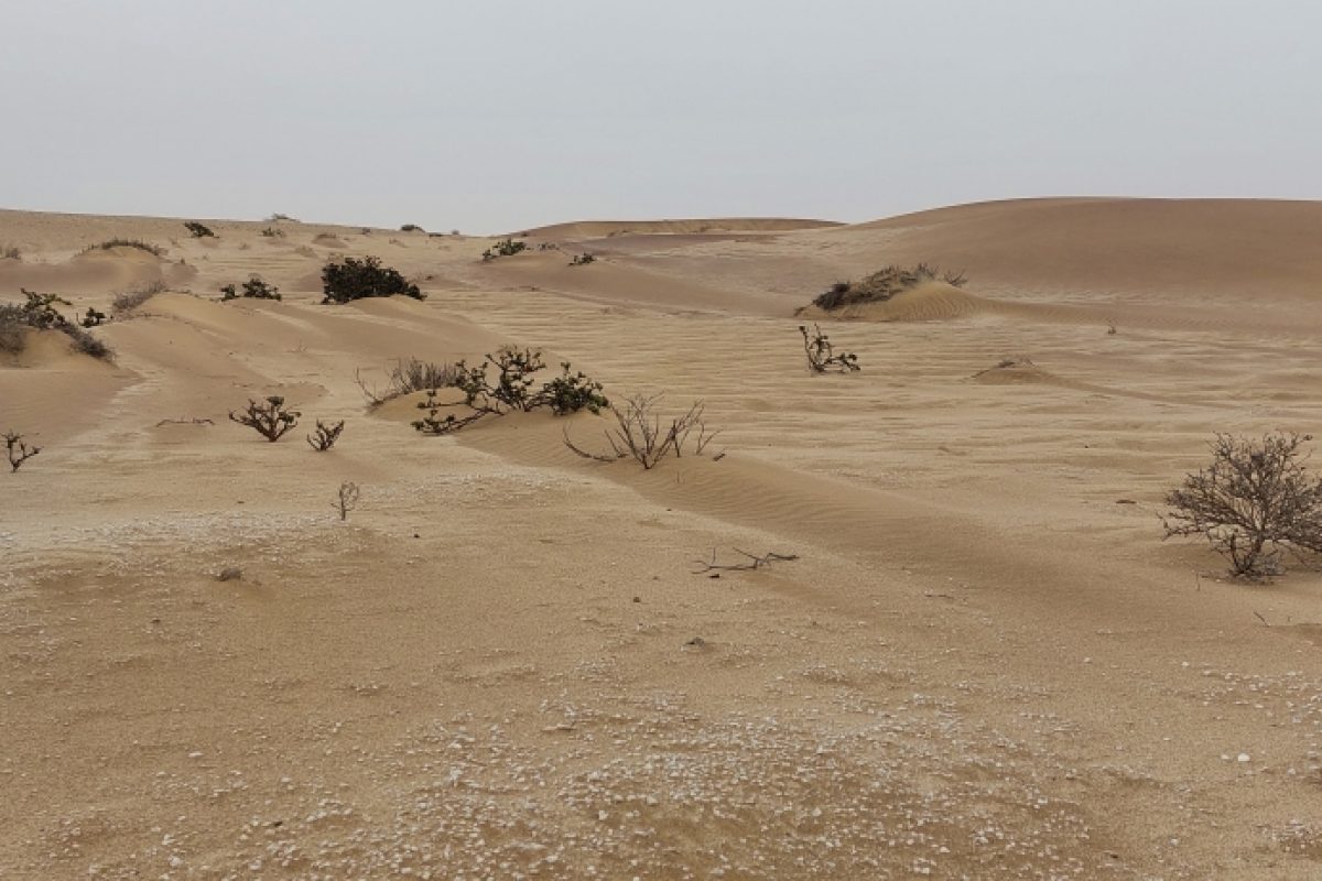 Wüste bei Swakopmund