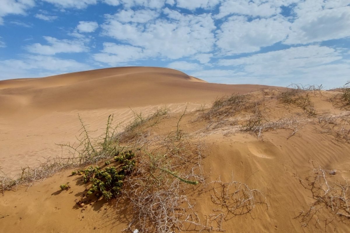 Wüste bei Swakopmund