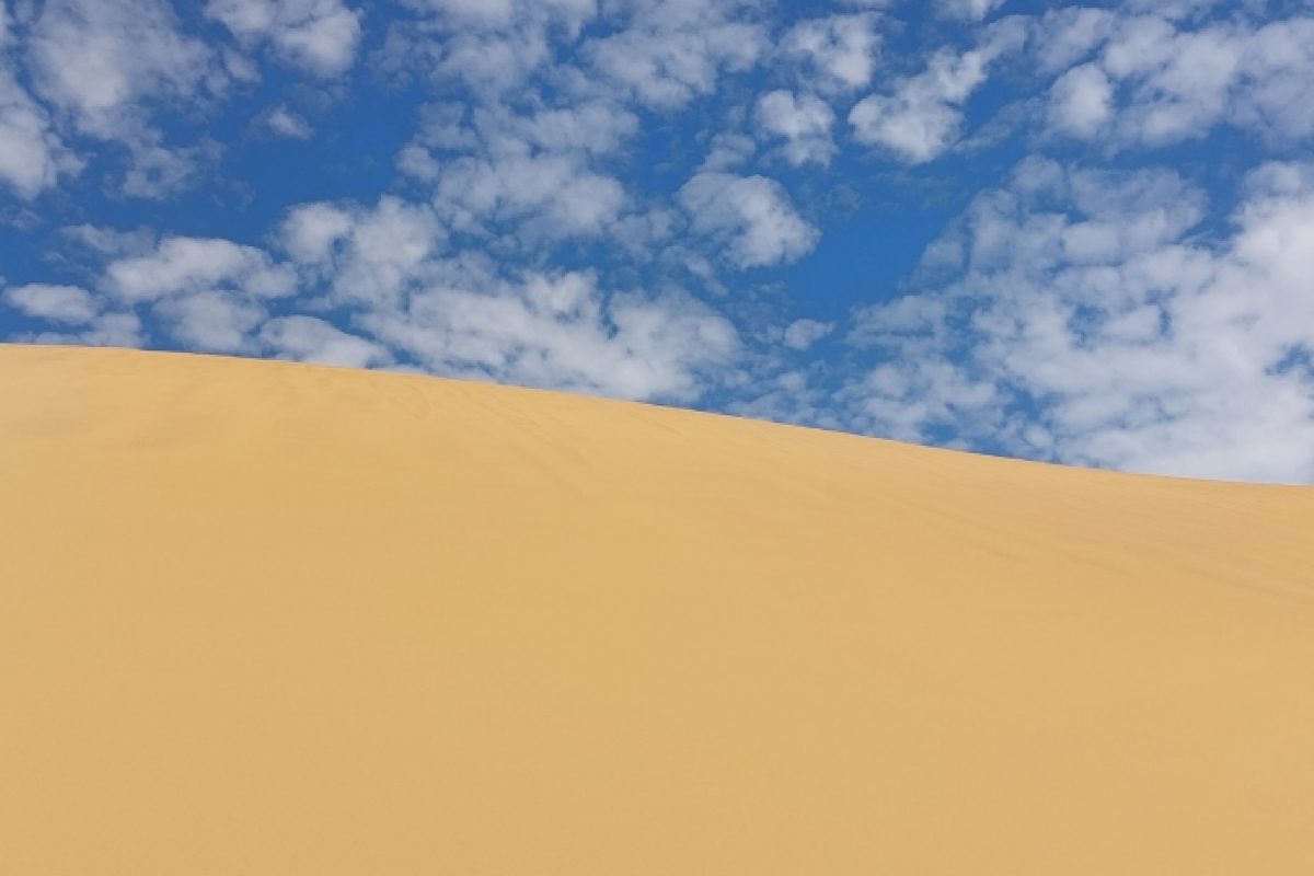 Wüste bei Swakopmund
