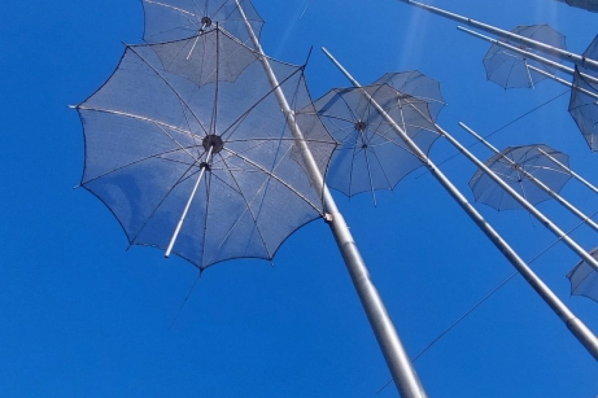 Die Regenschirme