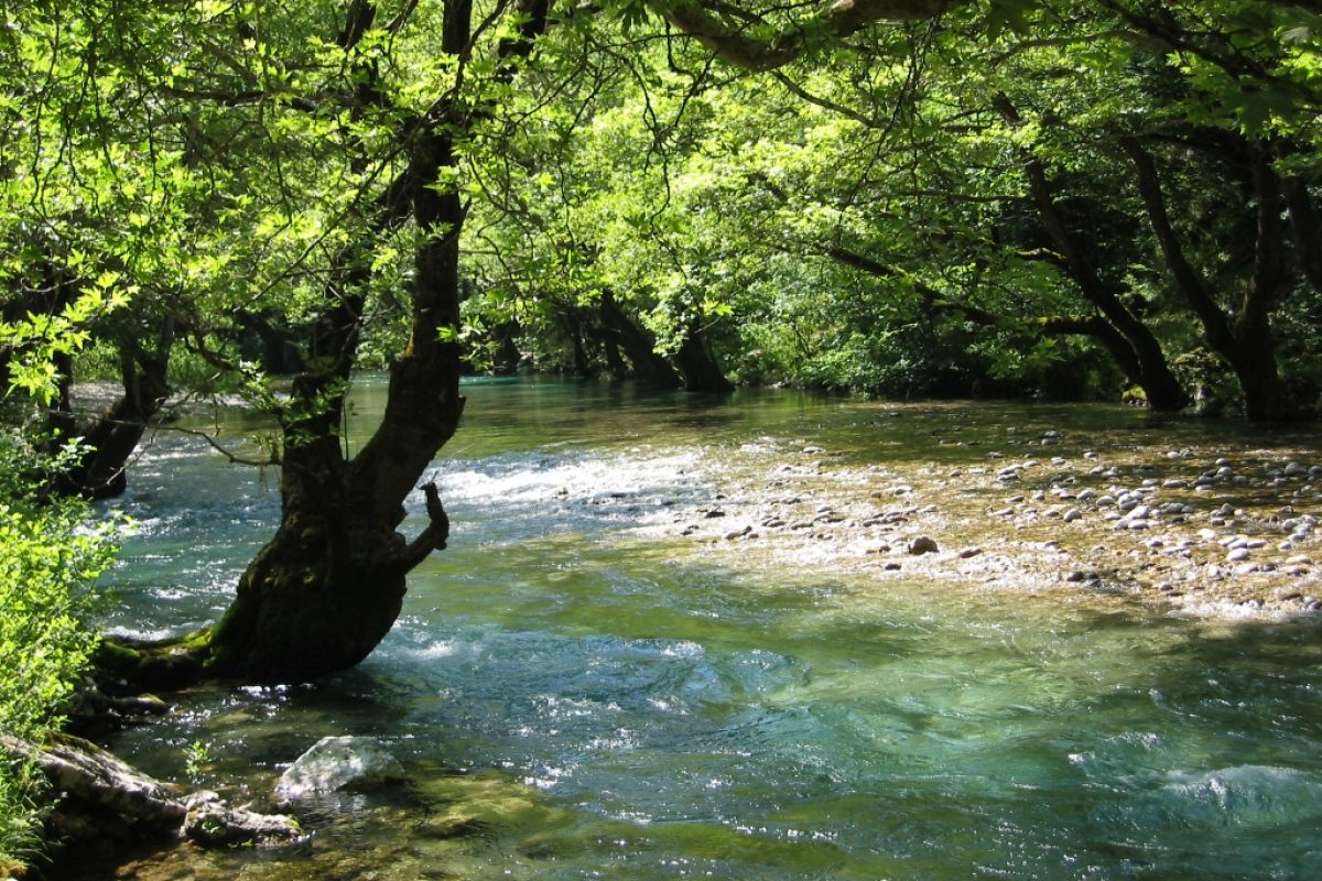 Zagoria